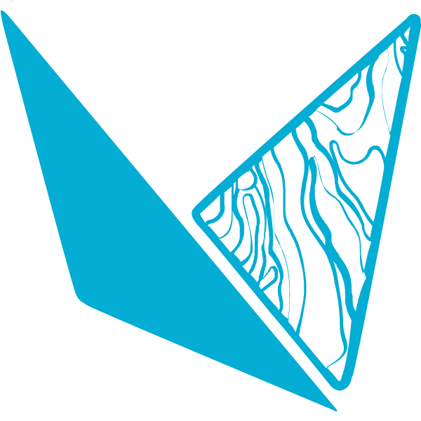 Логотип Приложение nanoCAD GeoniCS